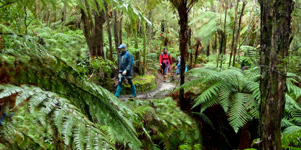 The Tarawera trail in Rotorua.