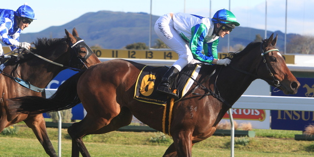 Miranda Dravitzki and Frankly beat favourite Newton Prince and Noel Harris in Hastings yesterday. Photo / Warren Buckland