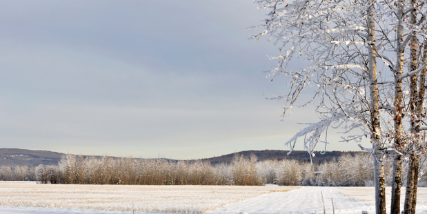 Photo / Thinkstock