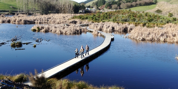A group of people enjoy the late afternoon sunshine yesterday on the boardwalk through the Pekapeka wetlands. Photo / Paul Taylor
