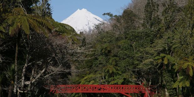 Mt Taranaki is seen in the distance, beyond the lush greenery of New Plymouth's Pukekura Park. Photo / Creative Commons image by Flickr user Donna Rutherford
