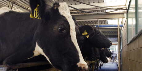 How do we put a price on clean air, water and land - and how does that fit with existing industries? Photo / Getty Images
