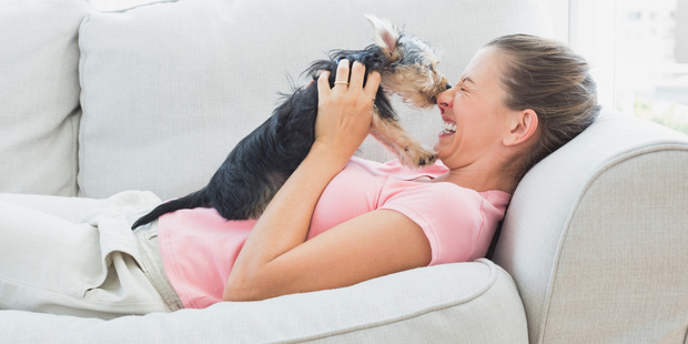 Which pets are best suited for an apartment lifestyle? Photo / Thinkstock