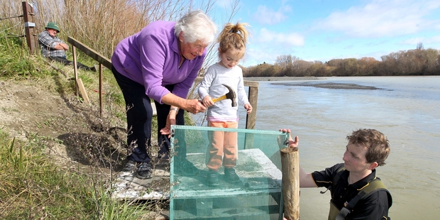 Jim Hutchinson, left, oversees as Shirley Hutchinson, Tayla Broad and Anthony Broad set up Mrs Hutchinson's stand on the Tukituki River. Photo / Duncan Brown