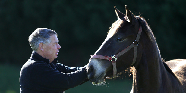 IN NEED OF A HOME: Pukehina chief fire officer Errol Watts with a young mare whose mother was killed when it was hit by a car. The surviving horse is now in need of a home after appearing to have been abandoned by its owner. PHOTO/JOHN BORREN