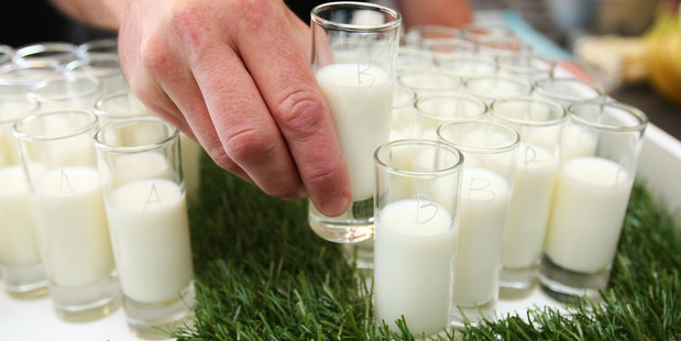 New Zealand products - such as dairy - are not affected by the Russian ban on food imports. Photo / Chris Gorman
