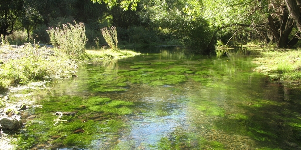 The Government says communities decide which waterways they wish to improve and which to degrade. Photo / Graeme Hughes