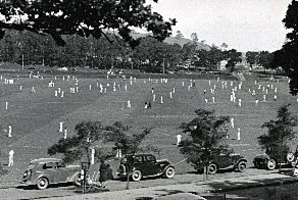 Club cricket on the sportsground of the Auckland Domain. Photo / NZ Herald Archive
