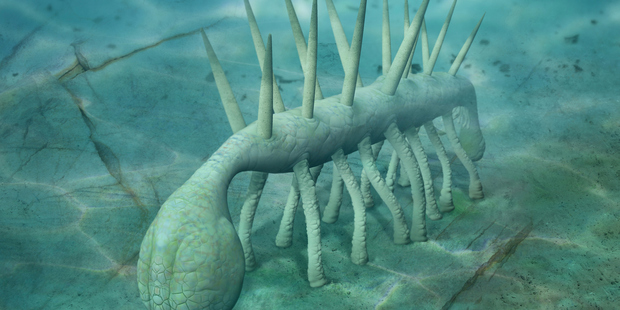 Hallucigenia, an invertebrate with rounded head at one end, and a long, fleshy tail, from the Cambrian era. Photo / Getty