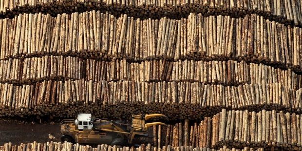 Commodity prices fell earlier than envisaged in the Budget update, says the Treasury. Photo / Alan Gibson