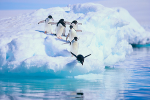 Photo / File / Thinkstock