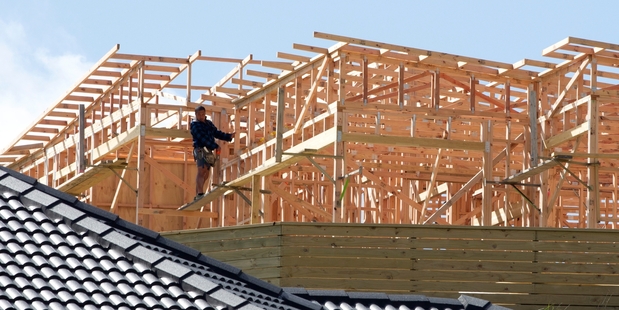 Affordability is expected to be a key issue addressed in the policy. Photo / Mark Mitchell
