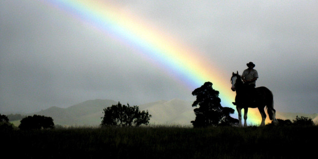 A rider on horseback near Te Kauwhata. Photo / Alex Robertson