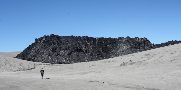 Volcanic pumice and ash on the Puyehue National Park trail.