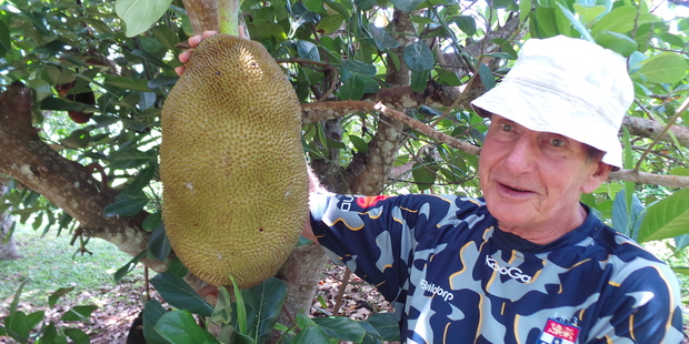 Bill Tschan hosts tours of his tropical garden on Aitutaki. Photo / Louise Taylor
