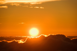 'We know that heatwaves kill people. We proved that in Europe in 2003.'
Photo / Thinkstock
