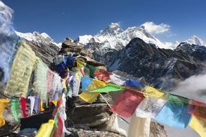 Photo / Thinkstock