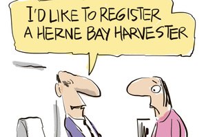 Illustration / Rod Emmerson