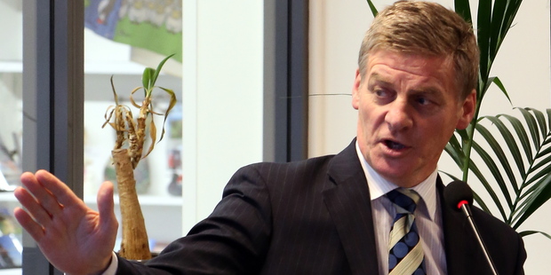 Finance Minister Bill English. Photo / APN