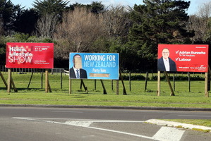 Many vandals have struck this election. Photo / Stuart Munro