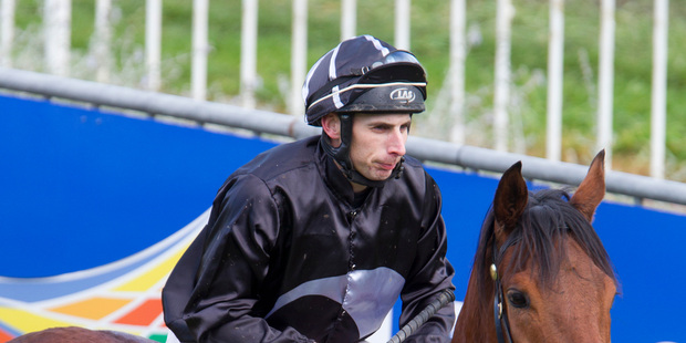 Jockey David Walker has been stood down from racing at Hastings tomorrow. Photo / Glenn Taylor