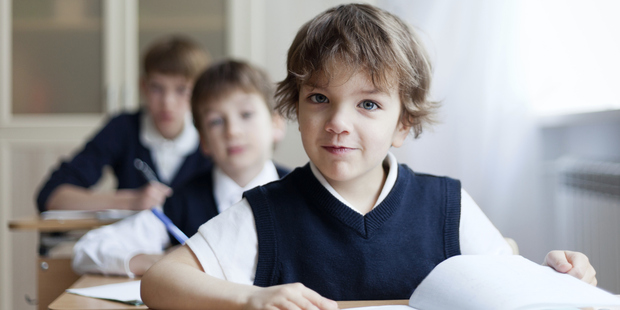 Civics in schools is about instilling ethics and critical thought into everyone from a young age, writes Lee Suckling.
Photo / Thinkstock