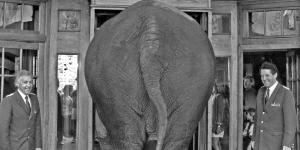 An elephant visits Badrutt's Palace Hotel in St Moritz, Switzerland. Photo / Supplied