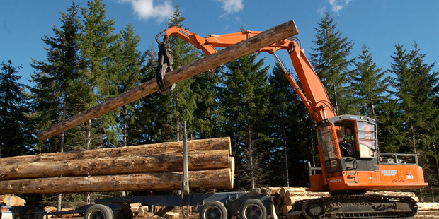 Forest product prices fell 6.5 per cent and volumes were down 8.3 per cent in the June quarter. Photo / File