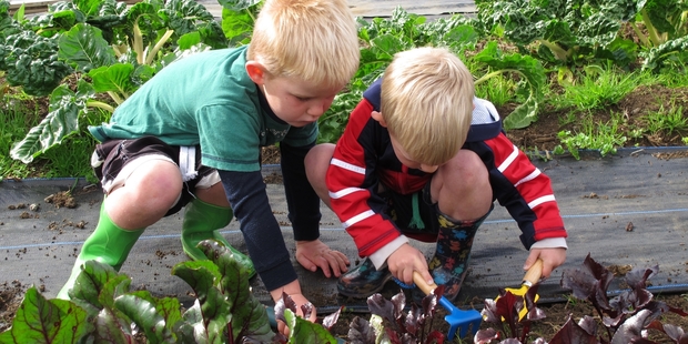 Kerikeri Kindergarten 4-year-olds Robbie Carnaby, left, and Luke Brocklebank lend a hand in Kerikeri's Community Gardens.