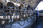 European co-op to to sell on GDT's platform