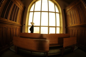 Photo / Thinkstock