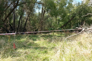 The scene of the North Canterbury crash