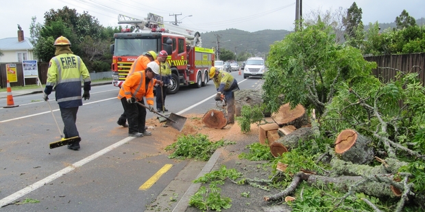 TRUNK CALL: Emergency workers clear the fallen tree and keep traffic moving along the one open lane on Western Hills Drive. PHOTO/LINDY LAIRD