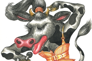Illustration / Anna Crichton