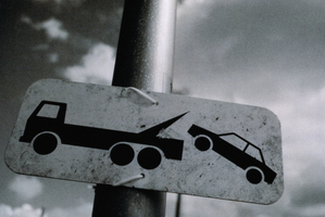 Photo / Thinkstock