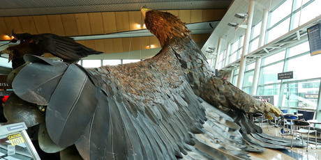 A giant eagle sculpture designed by Weta Workshop lies on the ground after falling from the roof in the wake of a 6.3 earthquake at Wellington Airport in Wellington. Photo / Hagen Hopkins