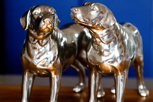 Silver labradors. Photo / Babiche Martens.