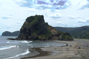 Well-developed tracks invite visitors to the sandy beach.