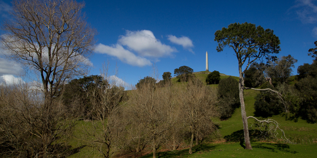 Maungakiekie (One Tree Hill). Photo / Richard Robinson