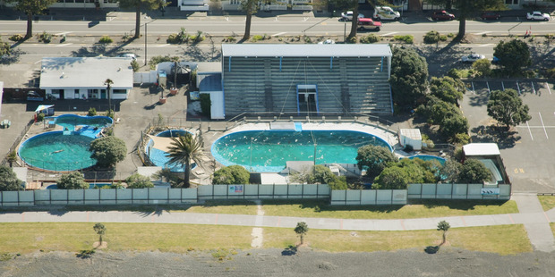 Marineland. Photo / APN