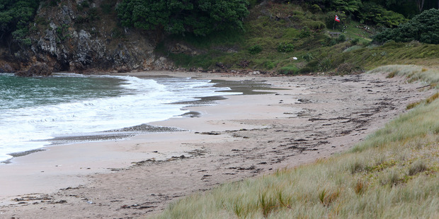 Pataua South beach also known as Frogtown. Photo / APN