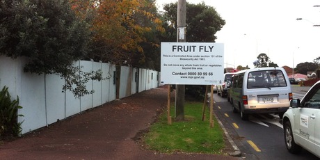 The quarantine area has been clearly marked on signs. Photo / MPI