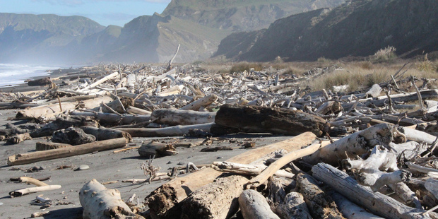 'Slash' from forestry clear cutting litters the beaches.