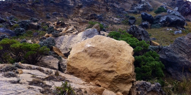 William Alexander sent us this photo of a massive boulder that fell at Castlepoint yesterday.