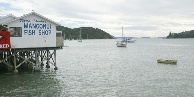 Diners at the Mangonui Fish Shop can experience fish so fresh it tastes as if it has just leapt out of the sea. Photo / Martin Sykes