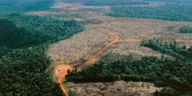 Deforestation along the Jari River, a northern tributary of the Amazon river, Brazil. Photo / Getty Images