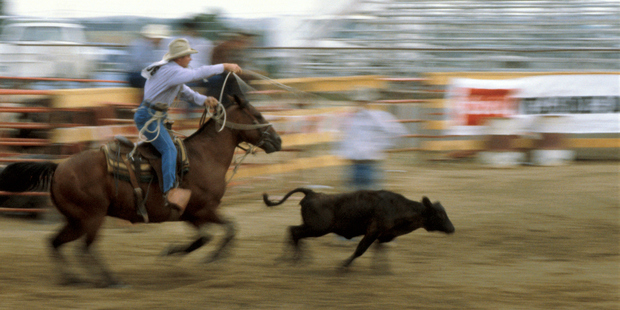 Rodeos are still big drawcards in many of America's former frontier states. Photo / Thinkstock