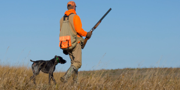 Banned tracking collars can interfere with crucial radio communications. Photo/Thinkstock