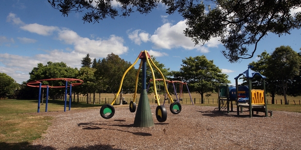 There are plenty of playgrounds and other facilities in our parks and reserves. Photo/File