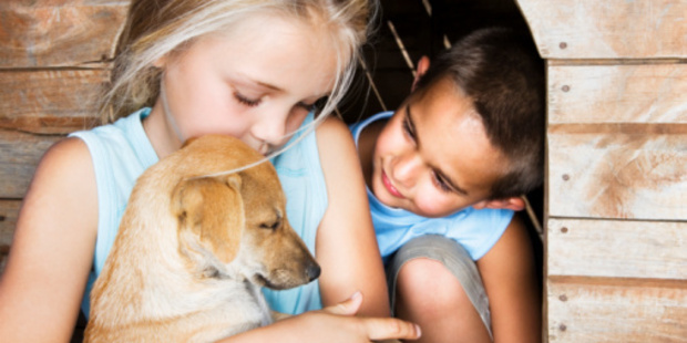 A well cared for pet can help children learn life skills.
Photo / Thinkstock